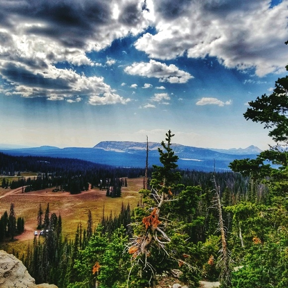 Meet your Posher, Gabriela - Picture 1 of 1